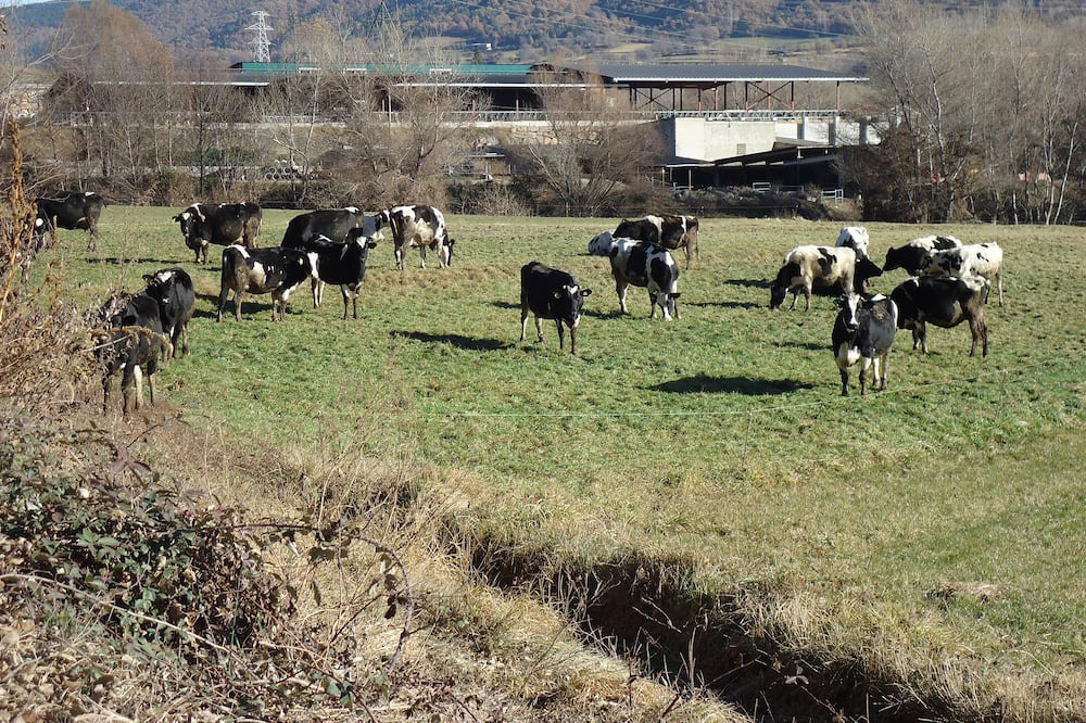 Photo of Outdoor in Adrall