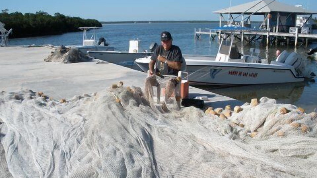 Photo of Outdoor in Cherokee Sound