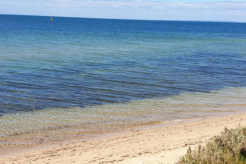 Photo of Others in Indented Head