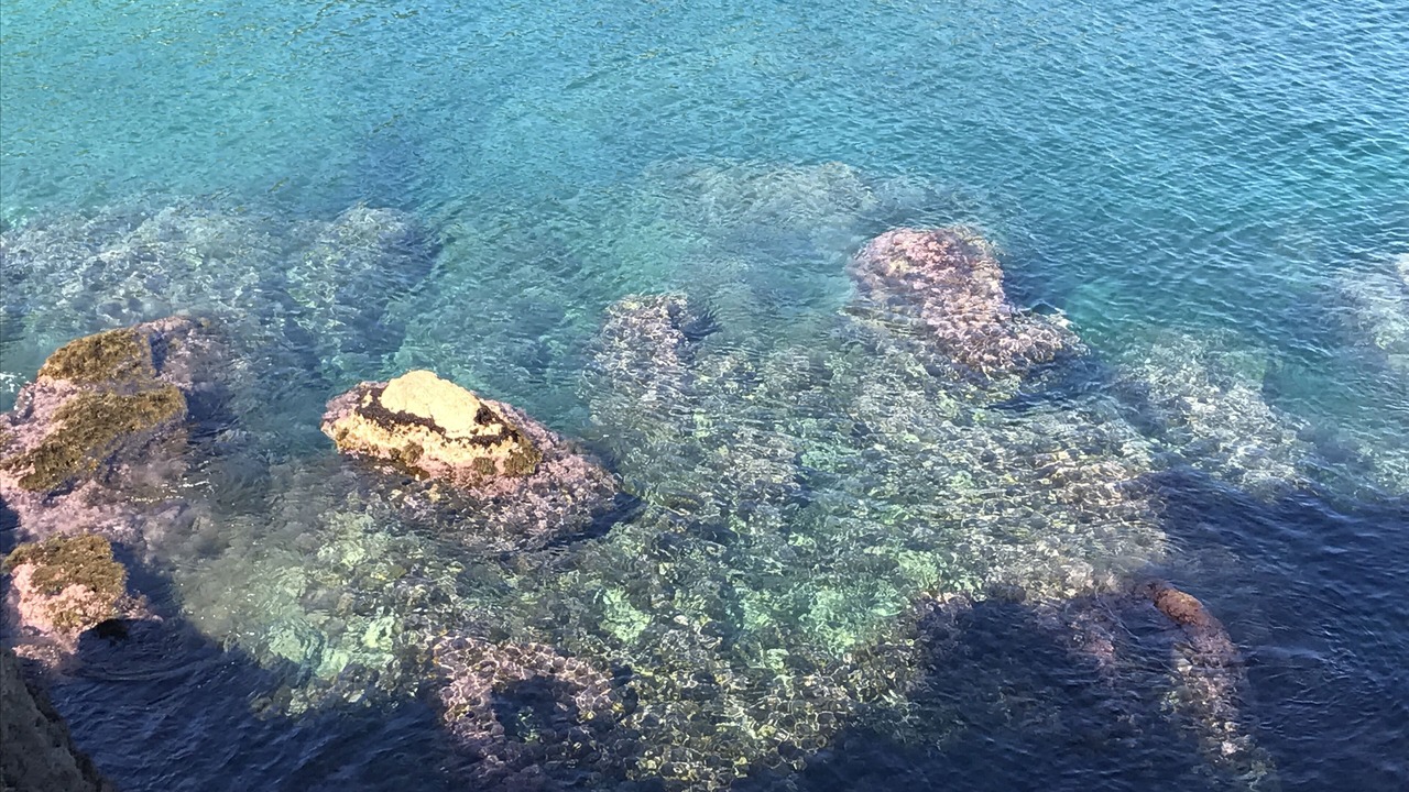 Photo of Outdoor in Aiguablava