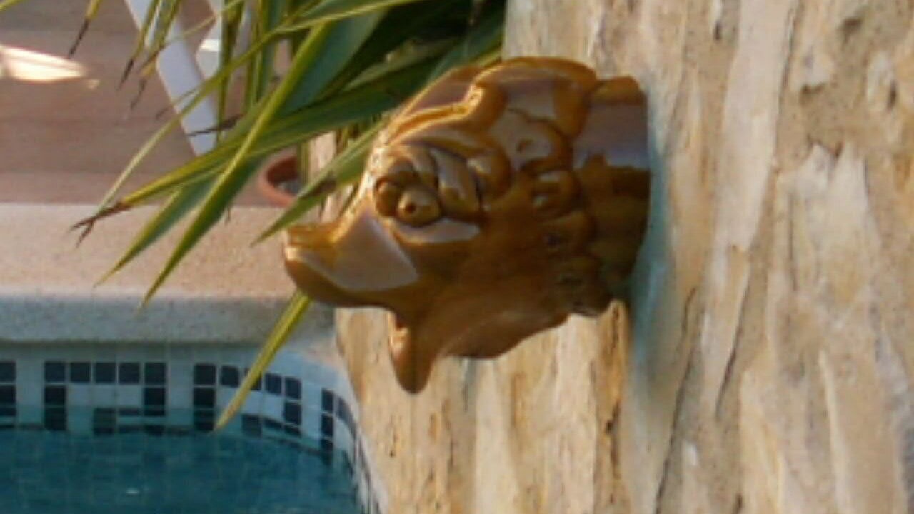 Photo of Outdoor in Badia Gran