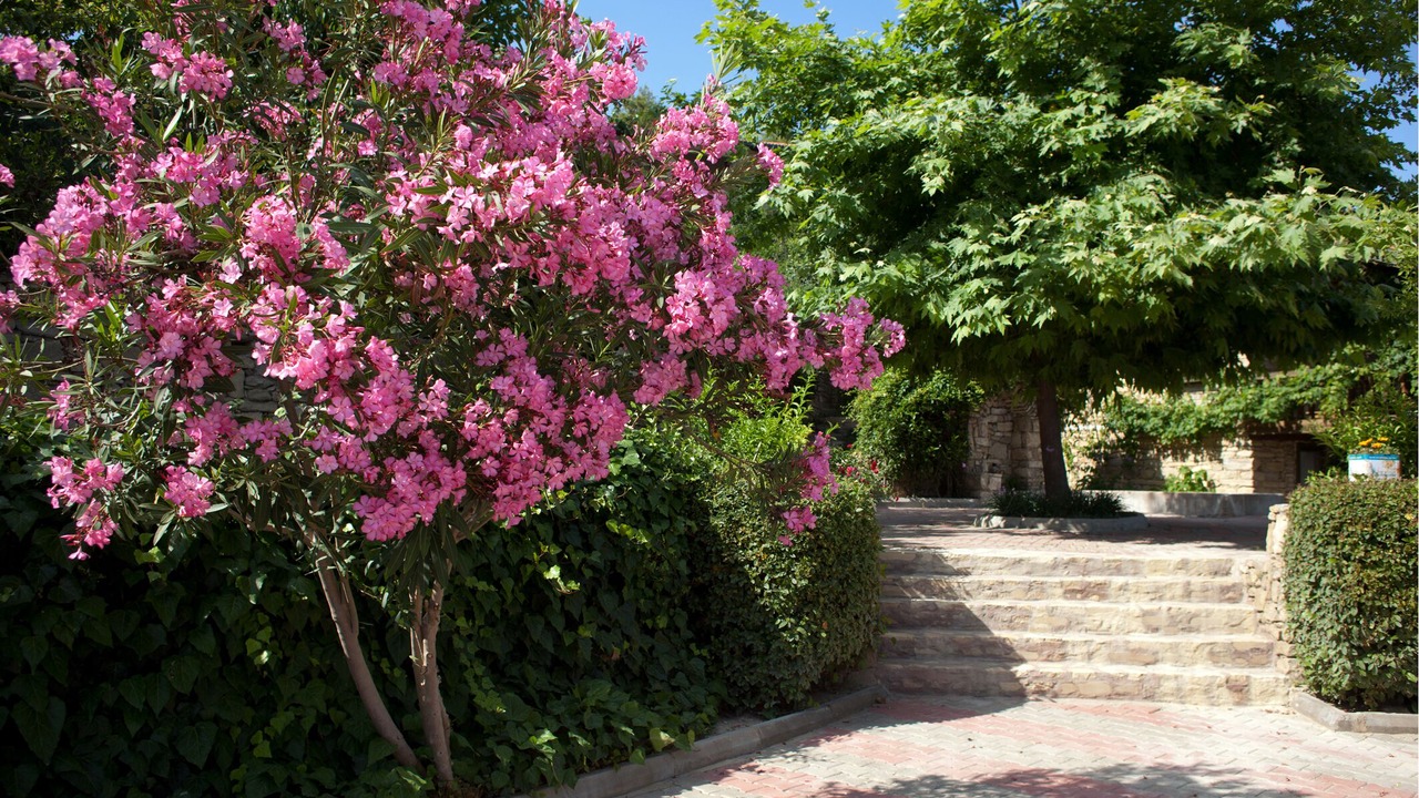 Photo of Outdoor in Manavgat