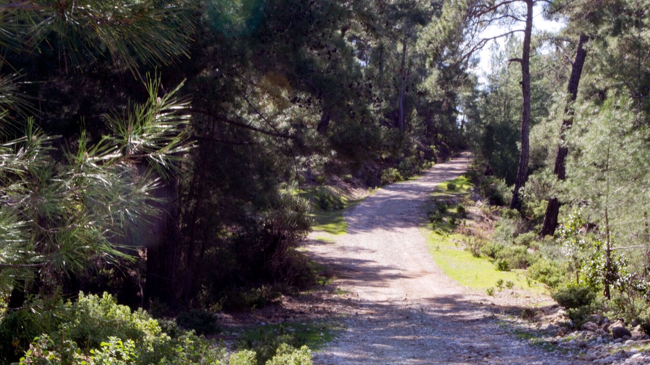 Photo of Outdoor in Manavgat