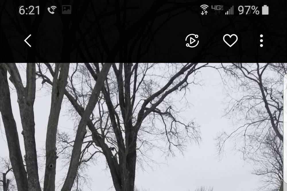 Photo of Others in Bemus Point