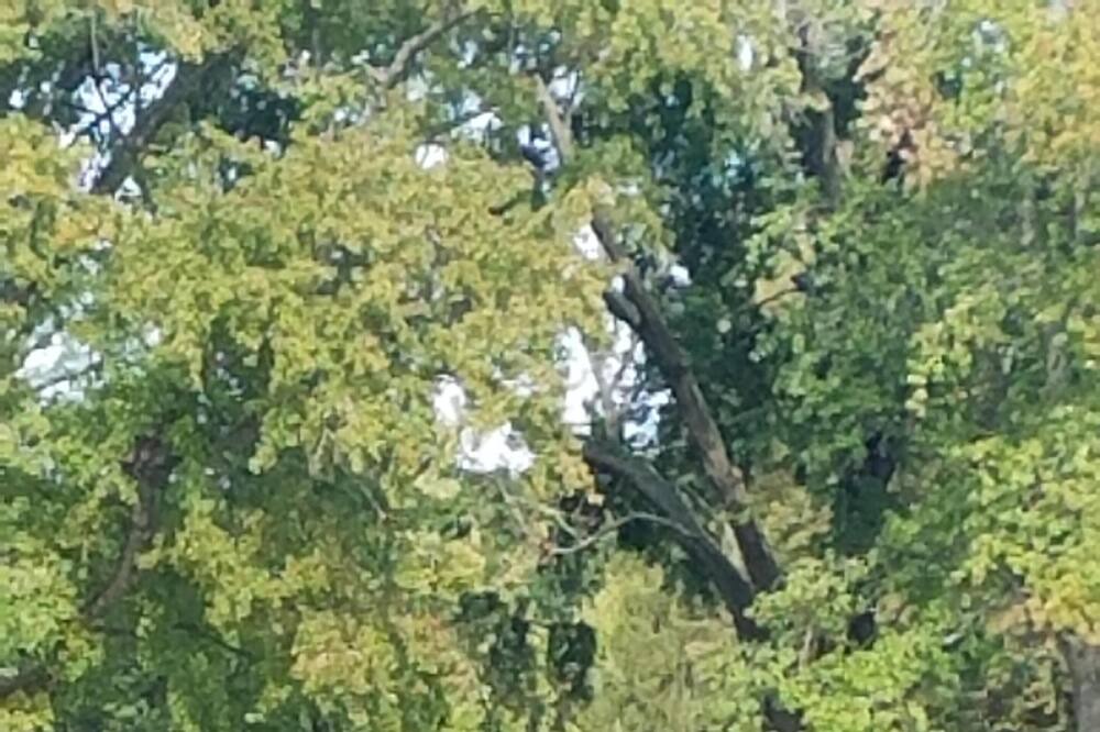Photo of Outdoor in Bemus Point