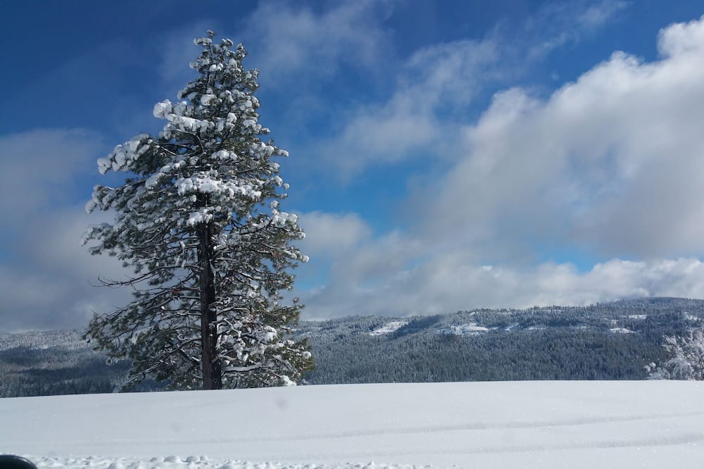 Photo of Others in Cold Springs