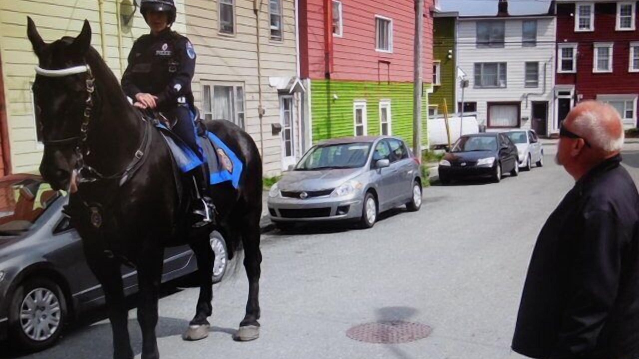 Photo of Outdoor in Downtown St. John's