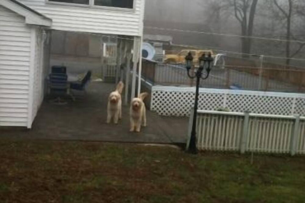 Photo of Others in Highland Falls