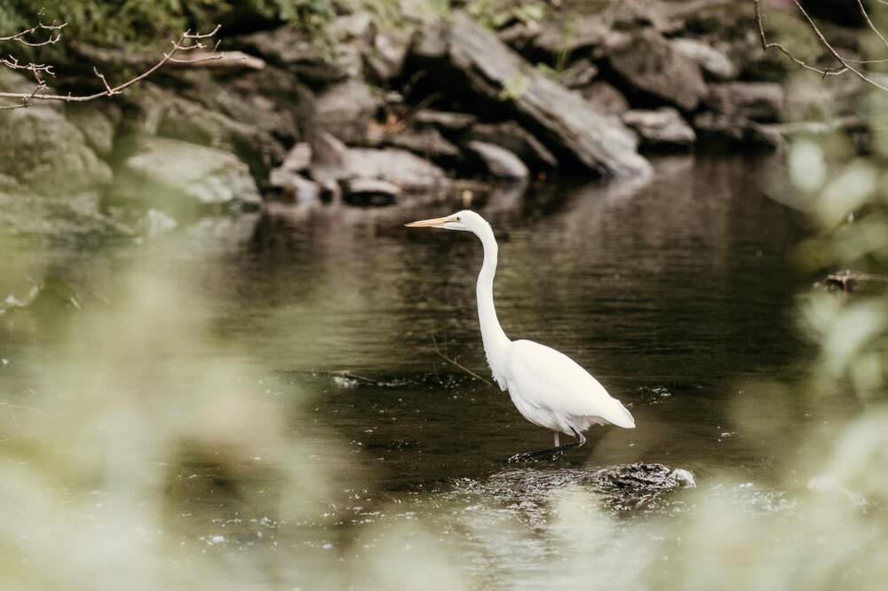 Photo of Others in Salt Point