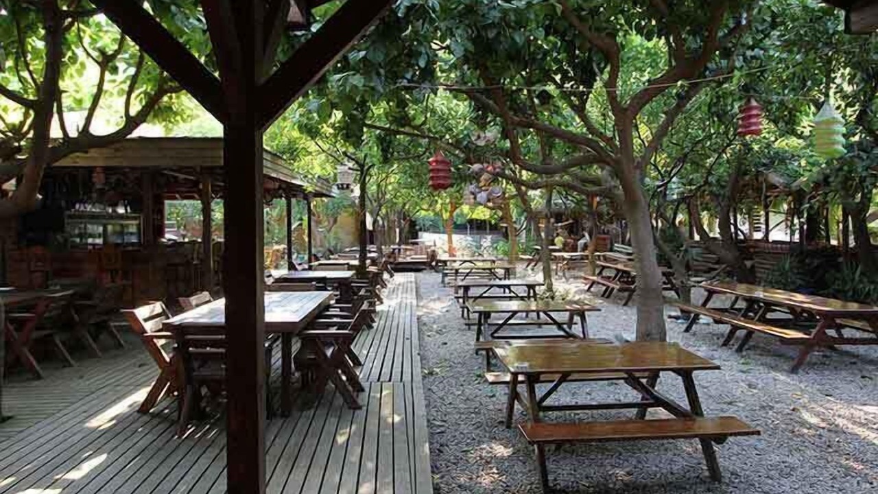 Photo of Others in Olympos