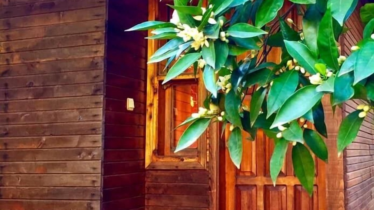 Photo of Outdoor in Olympos