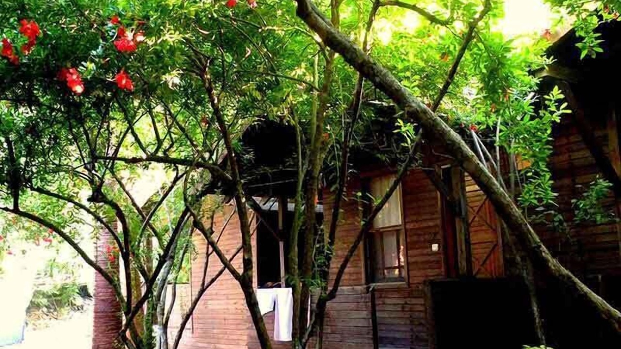 Photo of Outdoor in Olympos