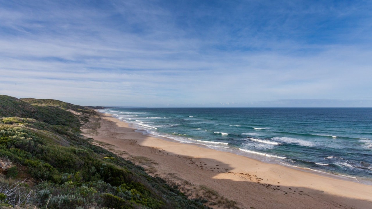 Photo of Others in Portsea
