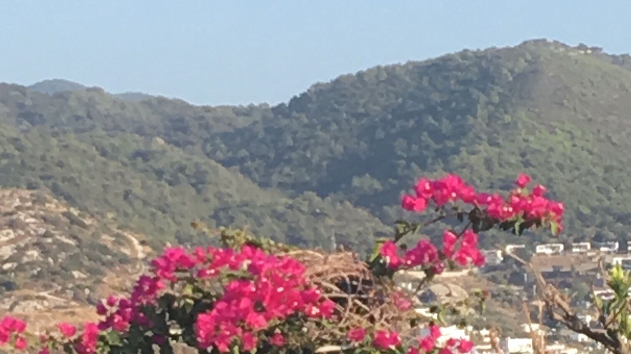 Photo of Outdoor in Yalikavak