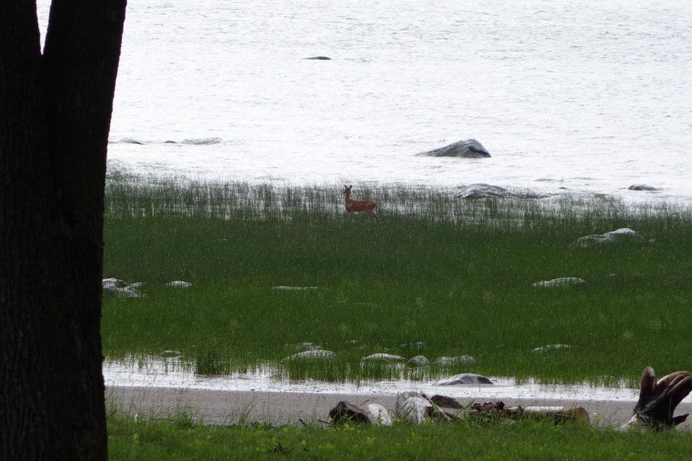 Photo of Outdoor in Saint-Nicolas