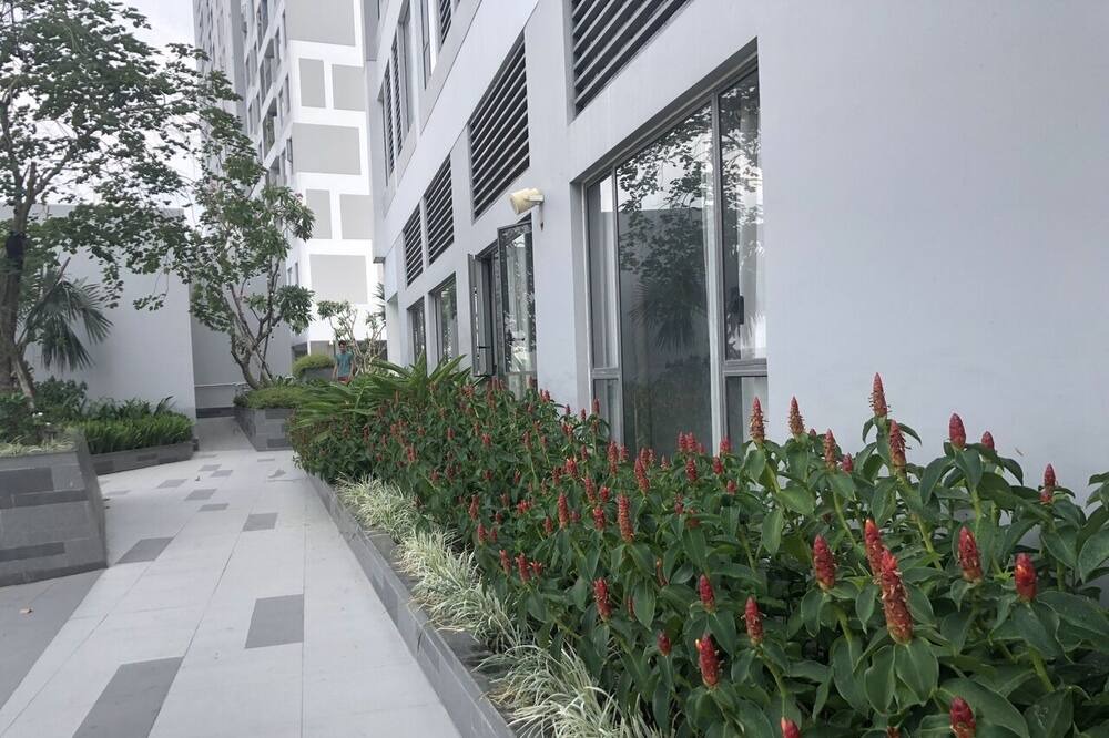 Photo of Outdoor in Bach Dang Riverside