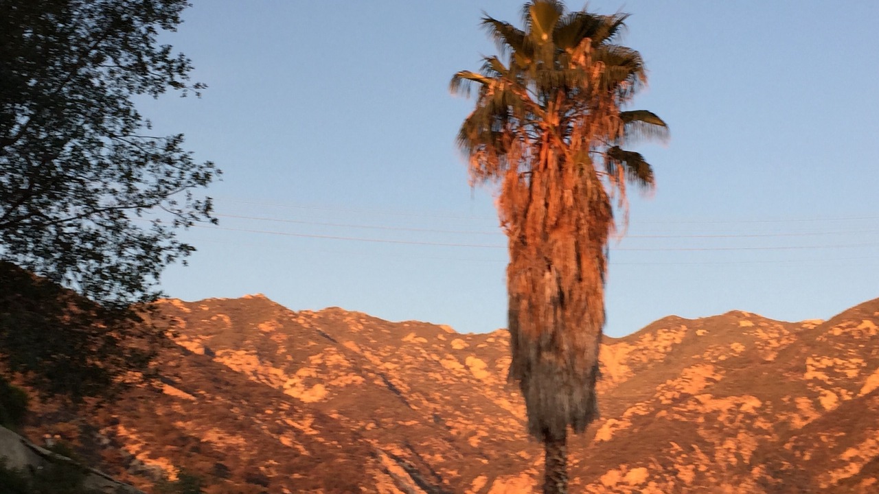Photo of Others in Altadena