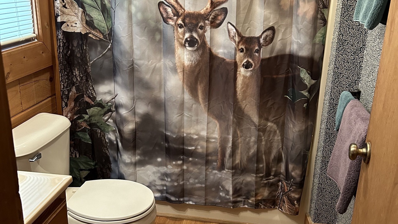 Photo of Bathroom in Sherwood Forest