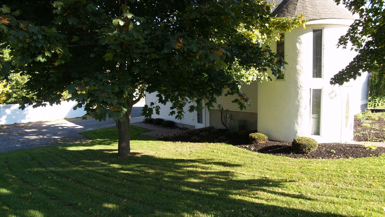 Photo of Outdoor in Olcott