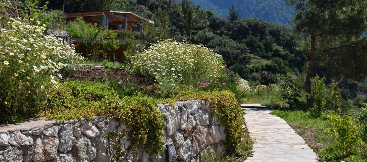 Photo of Outdoor in Faralya