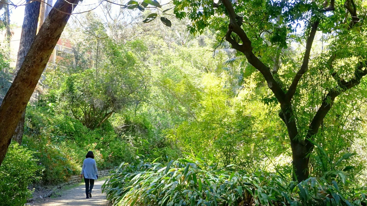 Photo of Others in Westwood