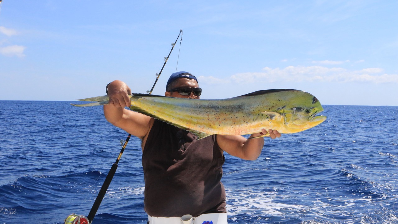 Photo of Others in Schooner Bay