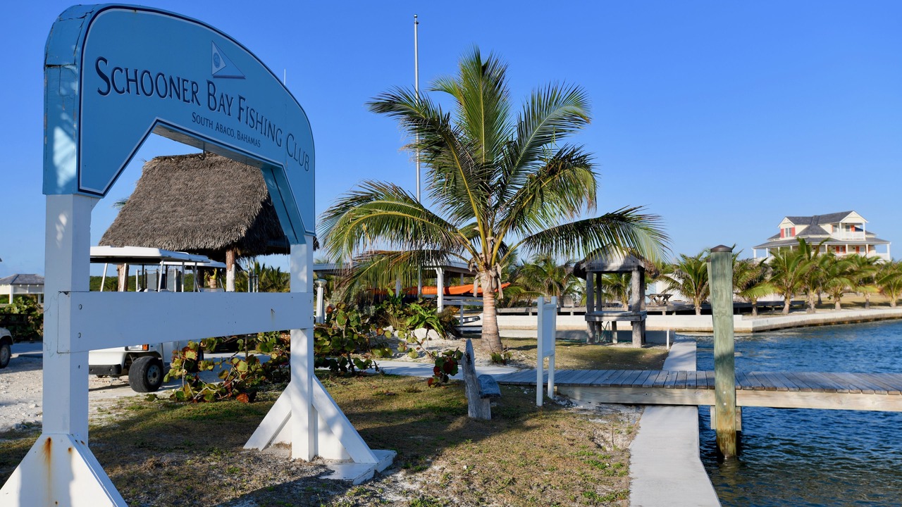 Photo of Others in Schooner Bay