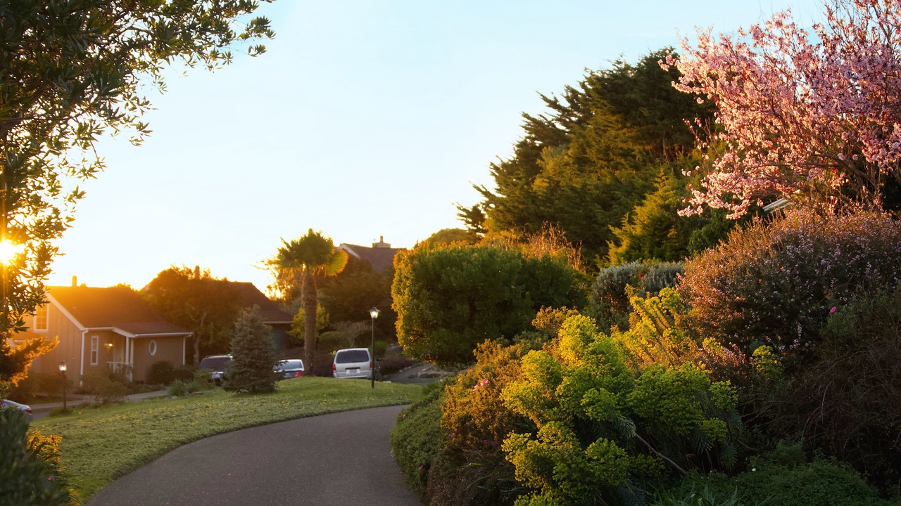 Photo of Outdoor in Albion