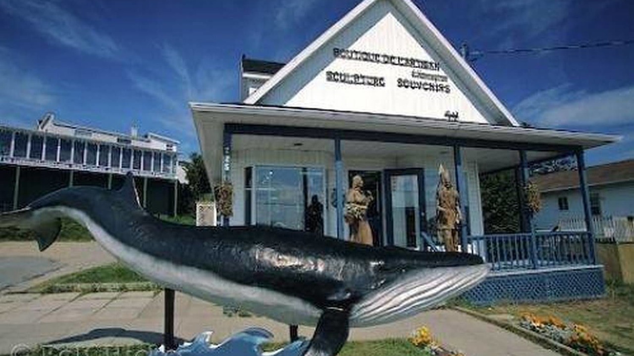 Photo of Others in Tadoussac