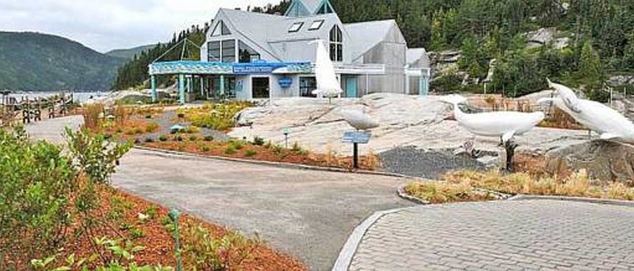 Photo of Others in Tadoussac