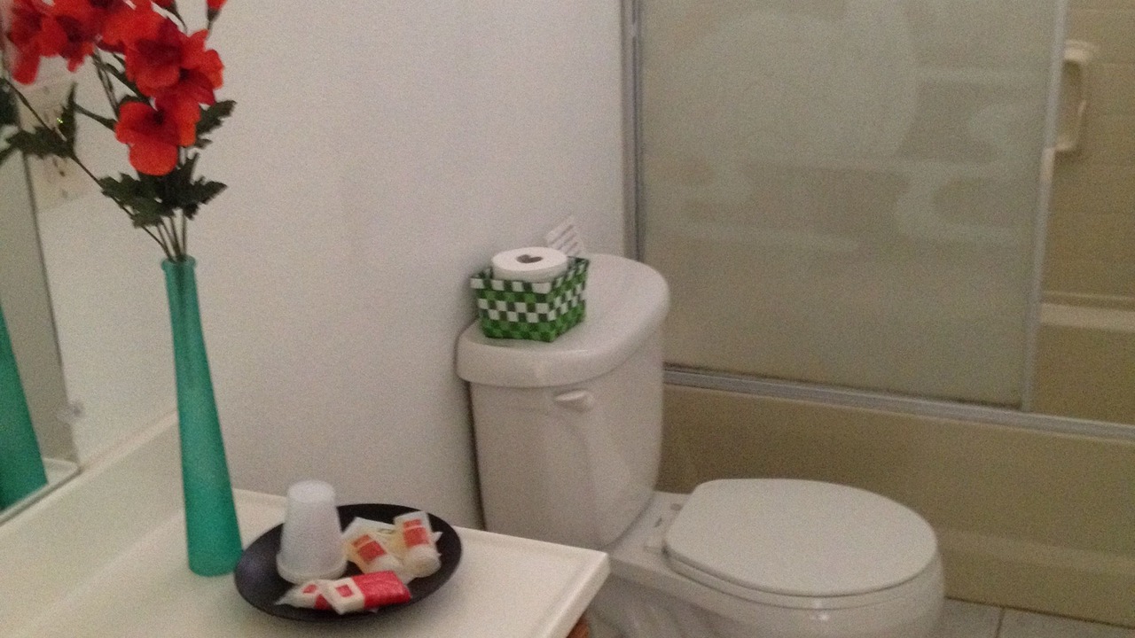 Photo of Bathroom in Badger