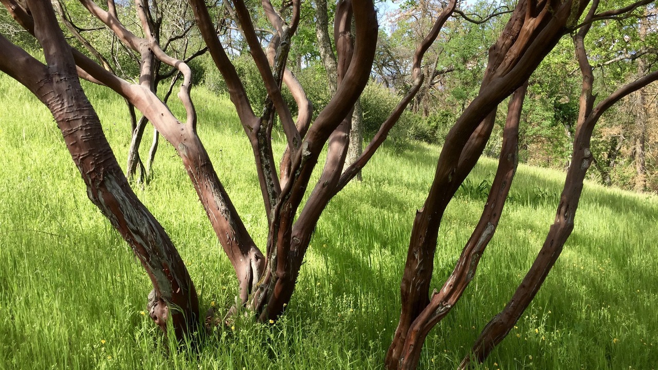 Photo of Outdoor in Badger