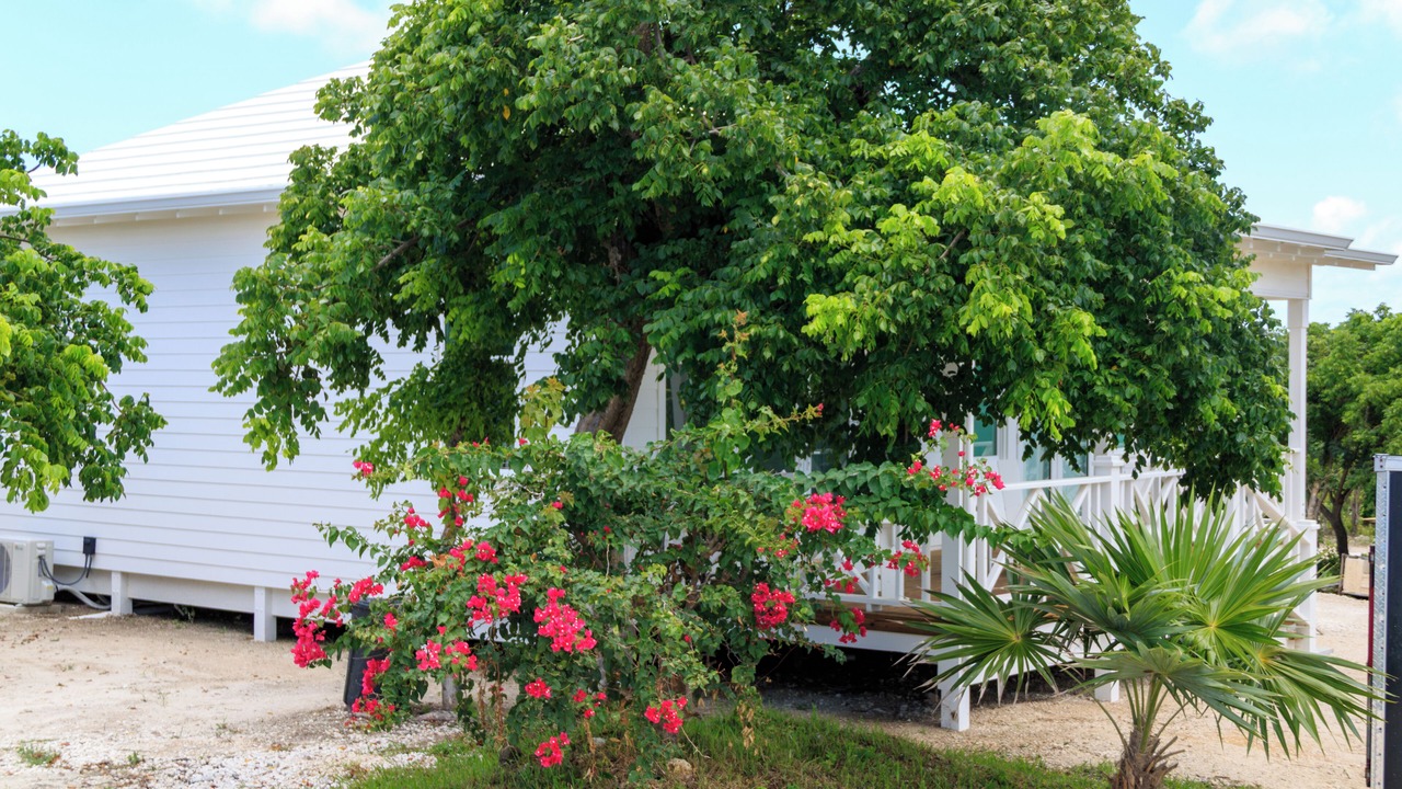 Photo of Outdoor in Great Guana Cay