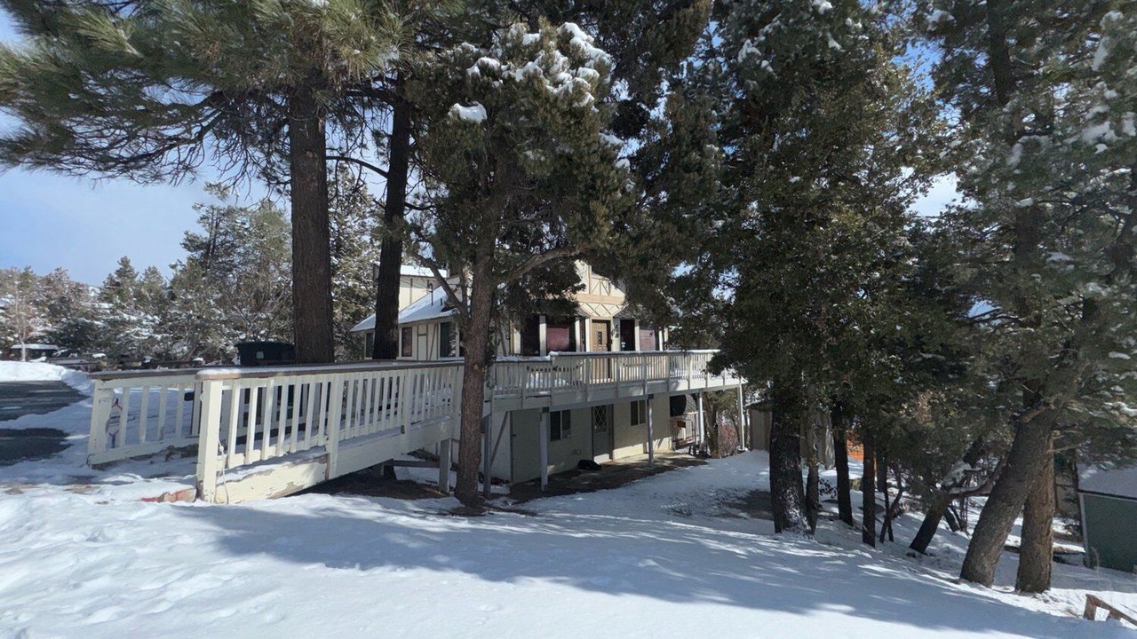 Photo of Outdoor in Whispering Forest