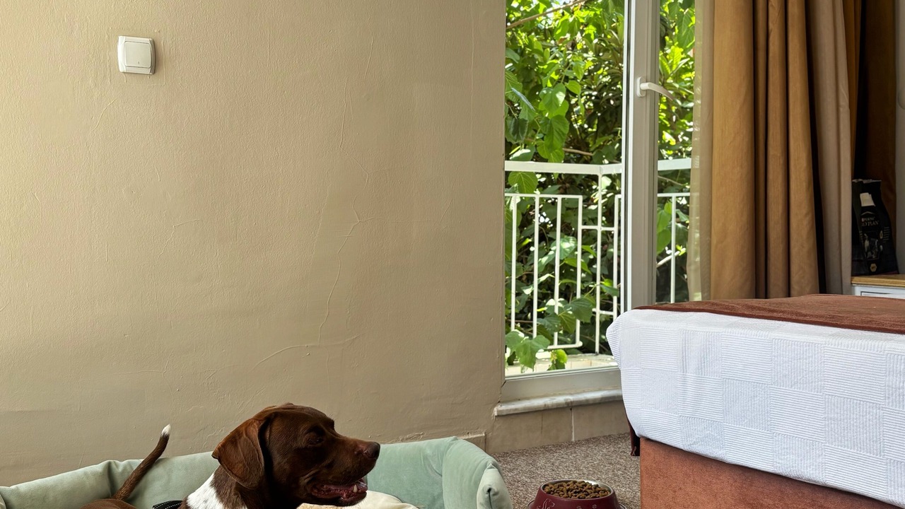 Photo of Patio Balcony in Beldibi