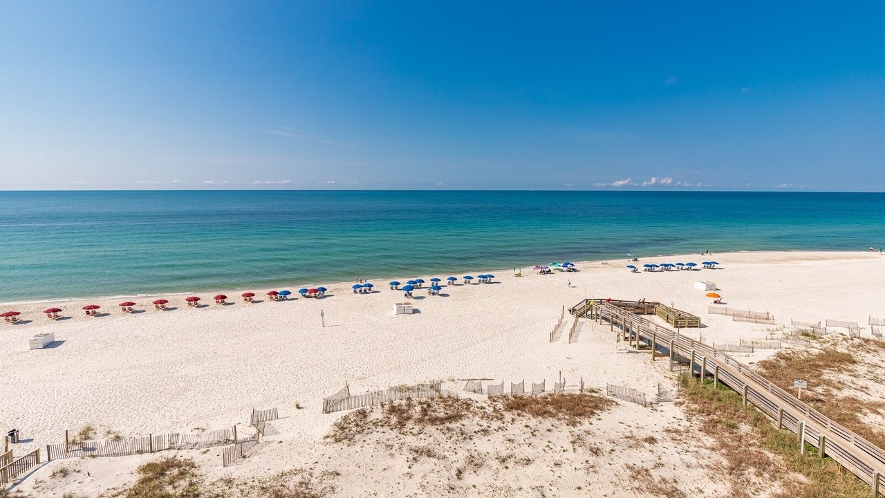 Photo of Others in Orange Beach East