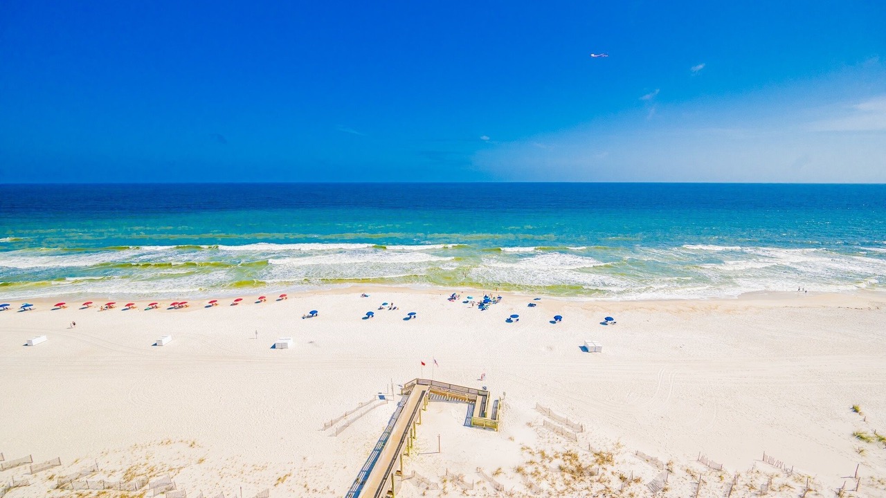 Photo of Others in Orange Beach East