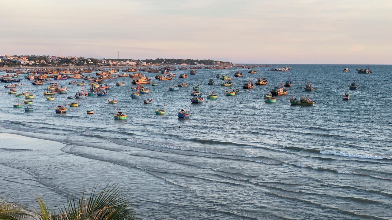 Photo of Others in Central Mui Ne Beach