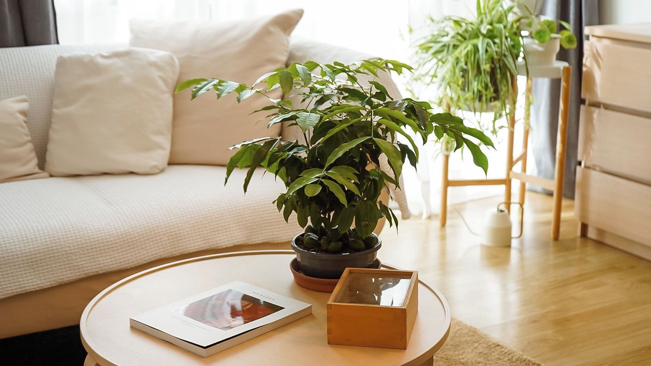 Photo of Bedroom in South Yarra