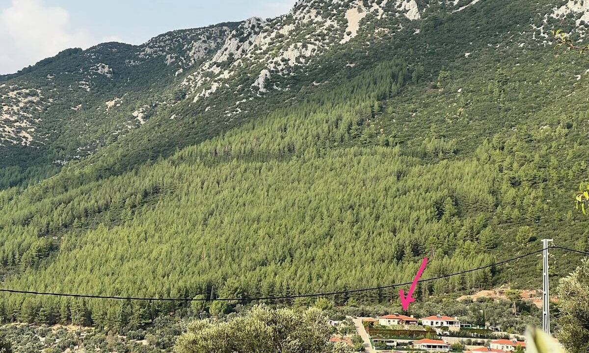 Photo of Others in Uzumlu