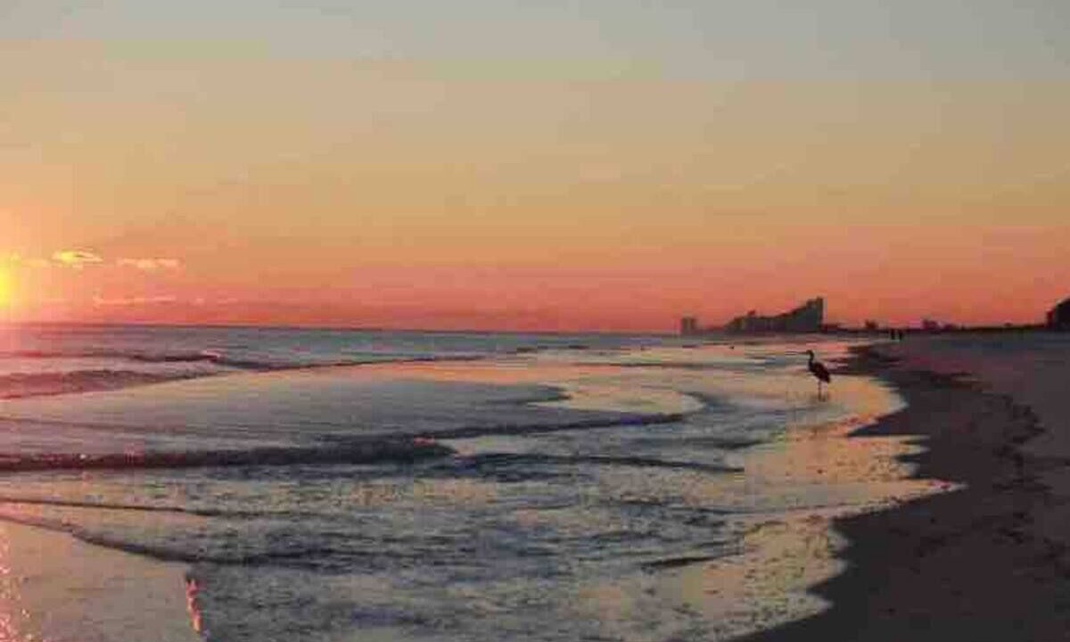 Photo of Others in Northeast Pensacola