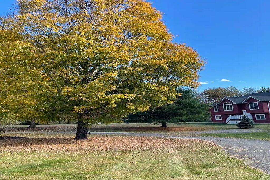 Photo of Outdoor in Highland
