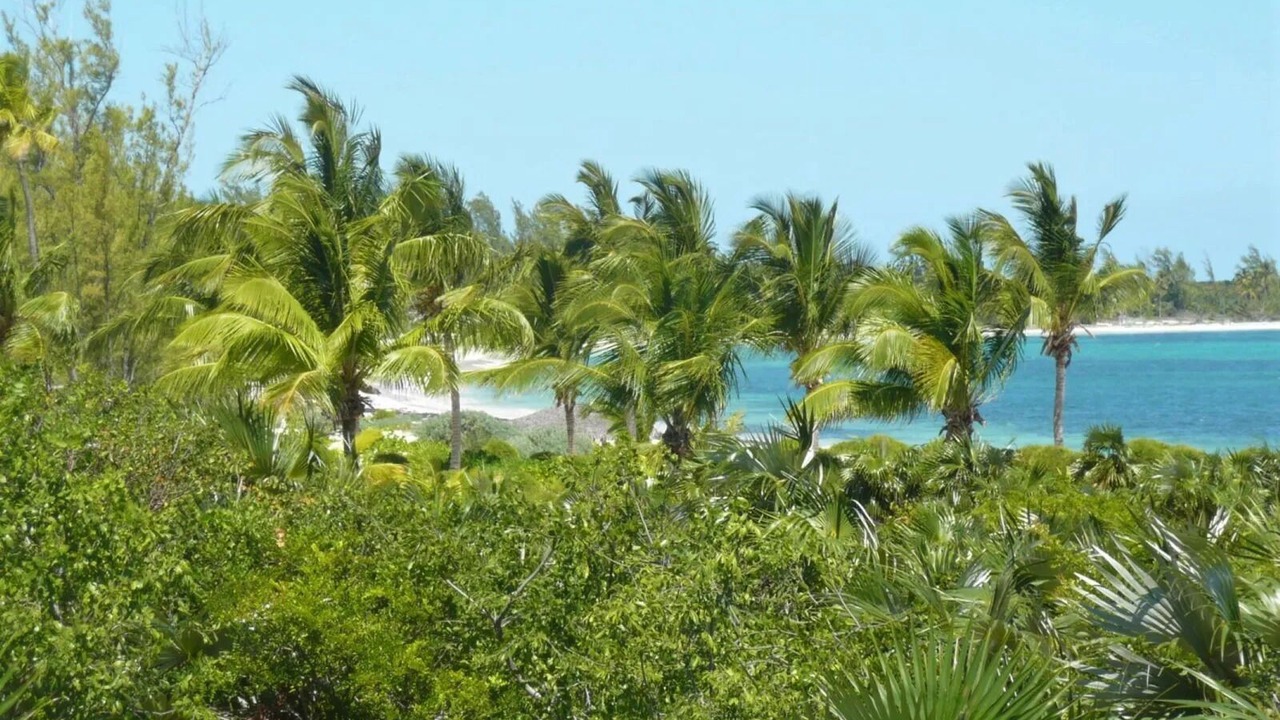 Photo of Others in Winding Bay