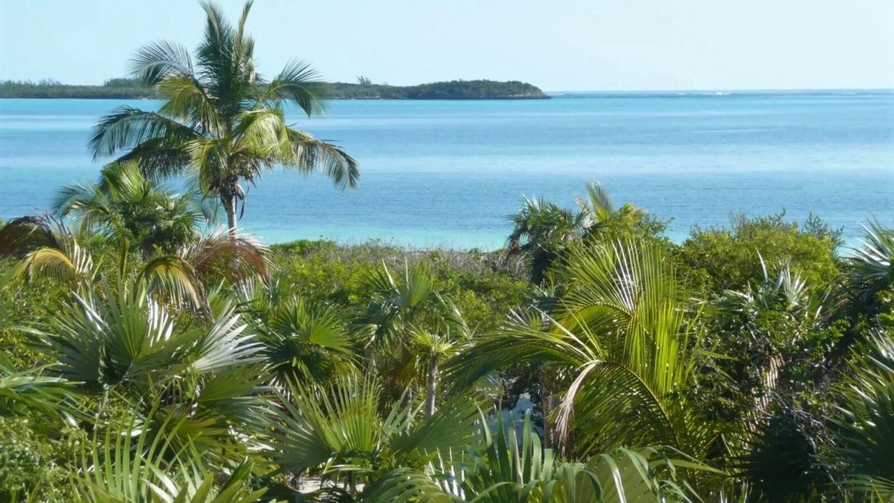 Photo of Others in Winding Bay
