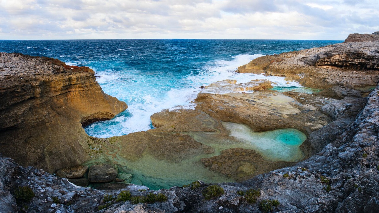 Photo of Others in Winding Bay