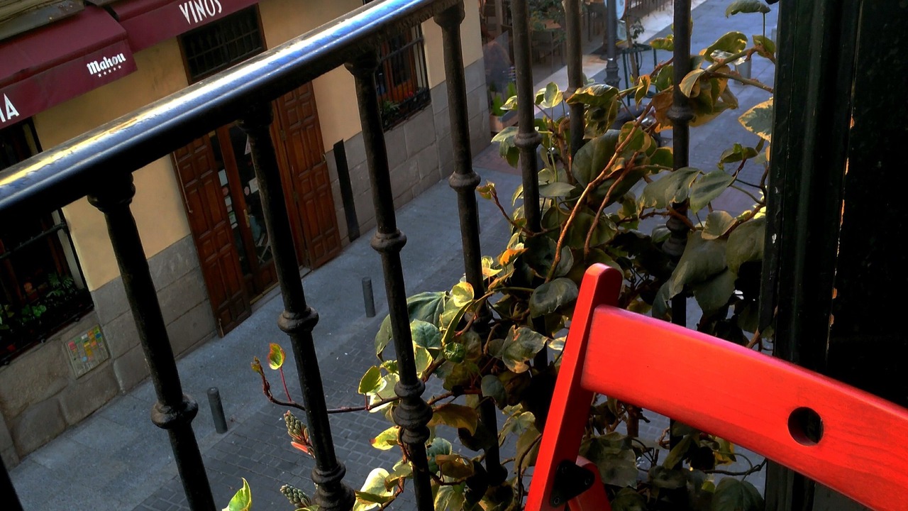 Photo of Outdoor in Golden Triangle of Art