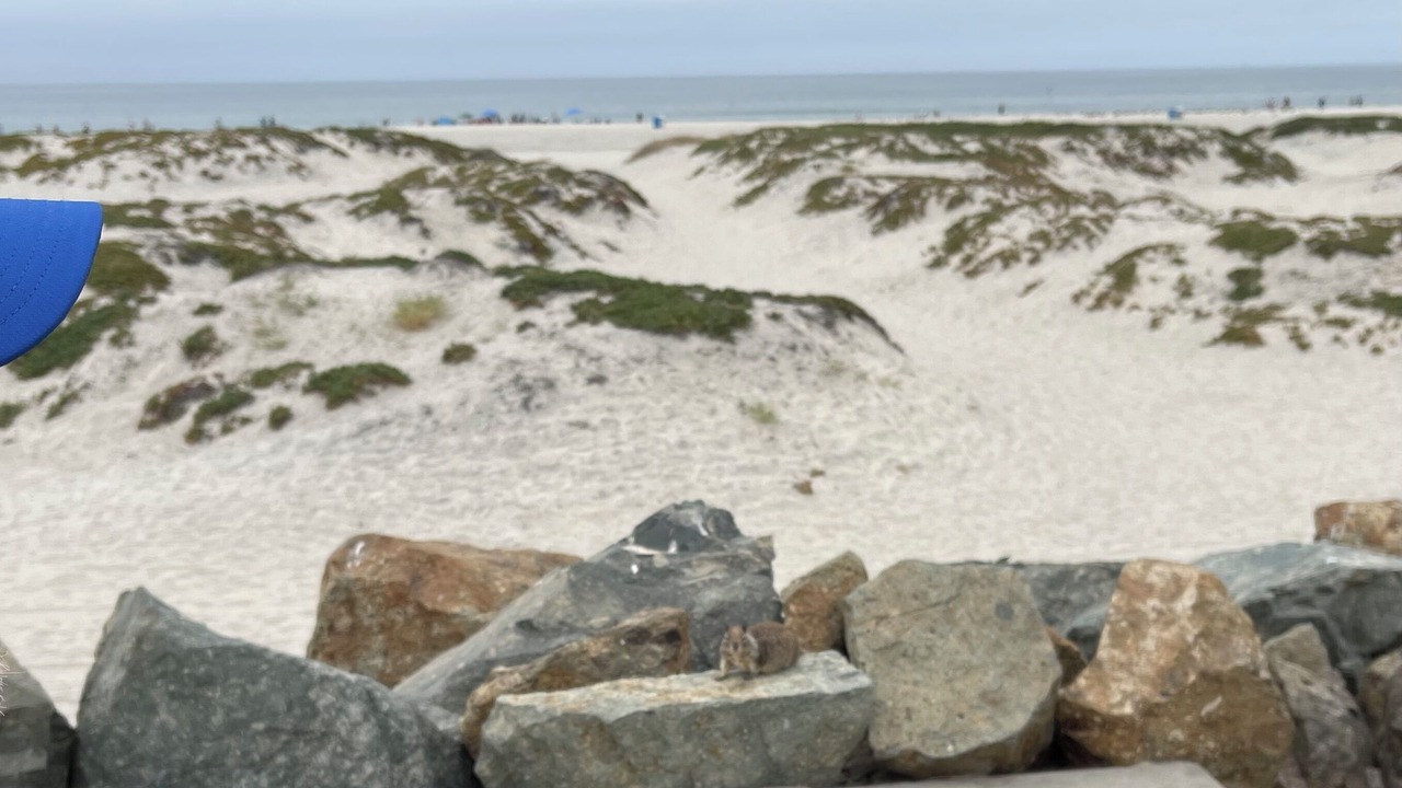Photo of Others in Coronado