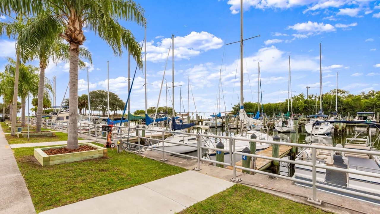 Photo of Others in Safety Harbor