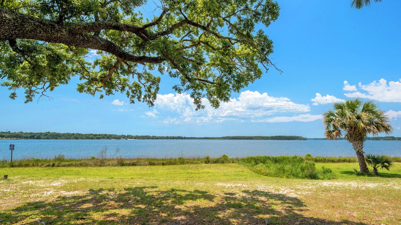 Photo of Others in Pensacola