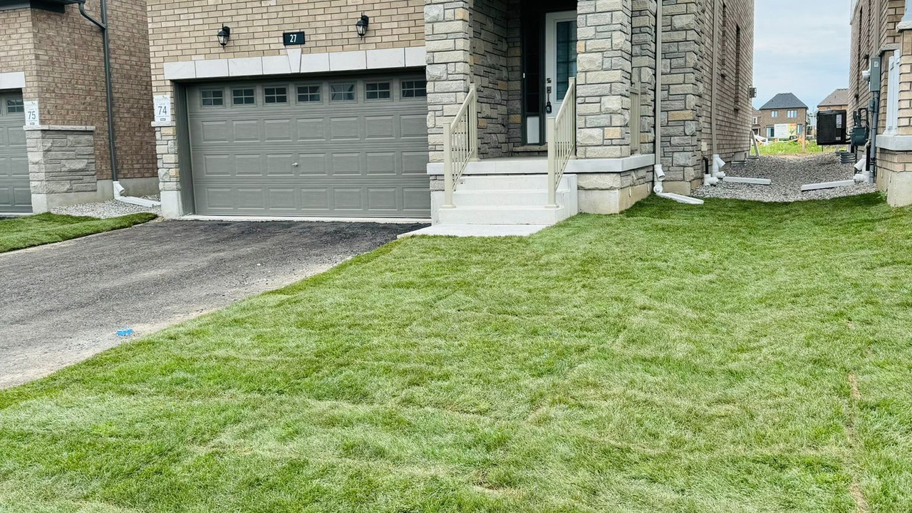 Photo of Outdoor in Cambridge